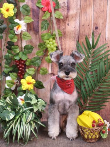 20230825むぎちゃん